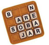 Barbara Soren logo